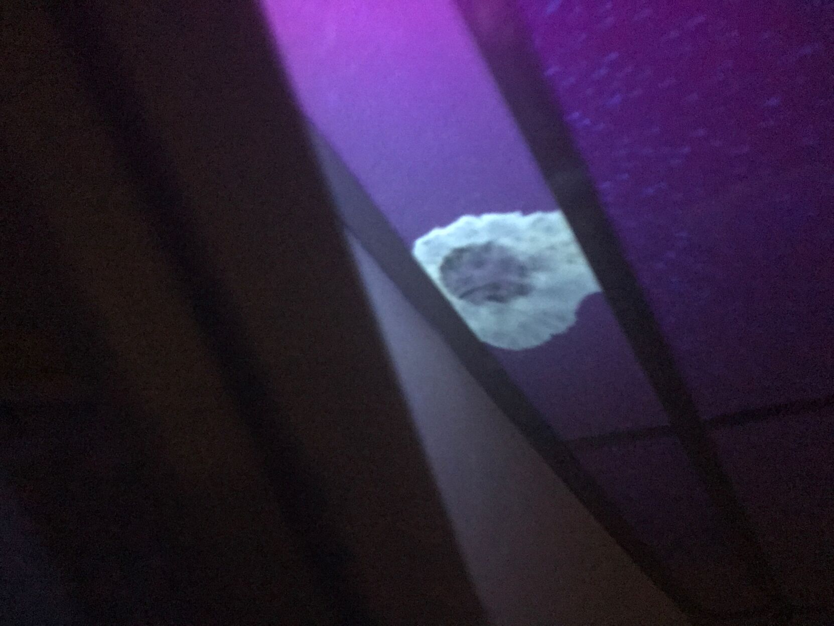 mold LSUS